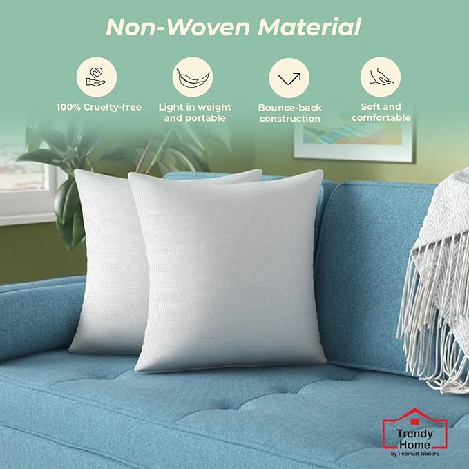 Trendy Home 20x20 Throw Pillow Insert (Set of 2, White) Bed and Couch Pillows Stuffer Hypoallergenic, Decorative Home Indoor Outdoor Sofa Pillow Filler (Non Woven, 2 Pack)