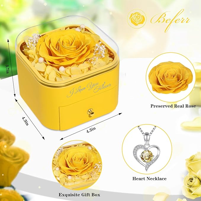 Beferr Birthday Gifts for Women Preserved Real Rose with Necklace Eternal Roses Forever Flowers for Delivery Prime Christmas Day Gifts for Mom Grandma Wife Sister Her from Daughter