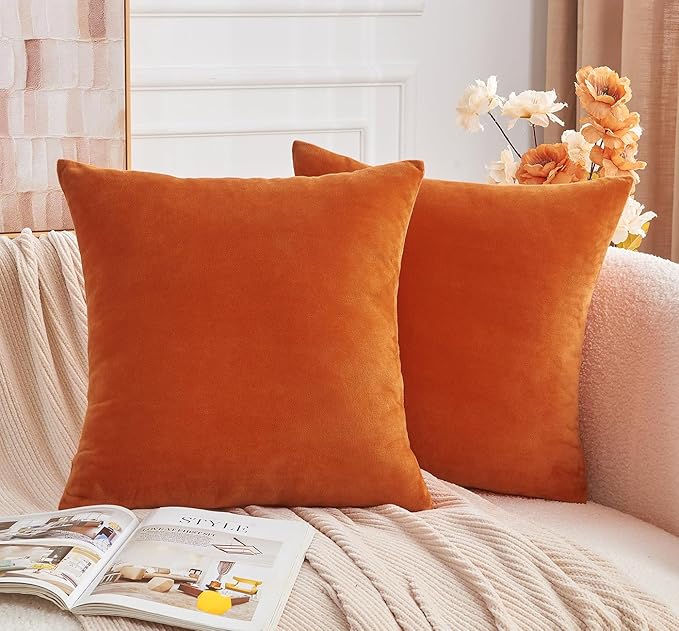 Throw Pillow Covers Burnt Orange Set of 2 20x20 Inch Fall Pillow Covers, Soft Velvet Farmhouse Neutral Decorative Pillowcases for Couch Sofa Bed, Home Boho Decor, Modern Cushion Covers