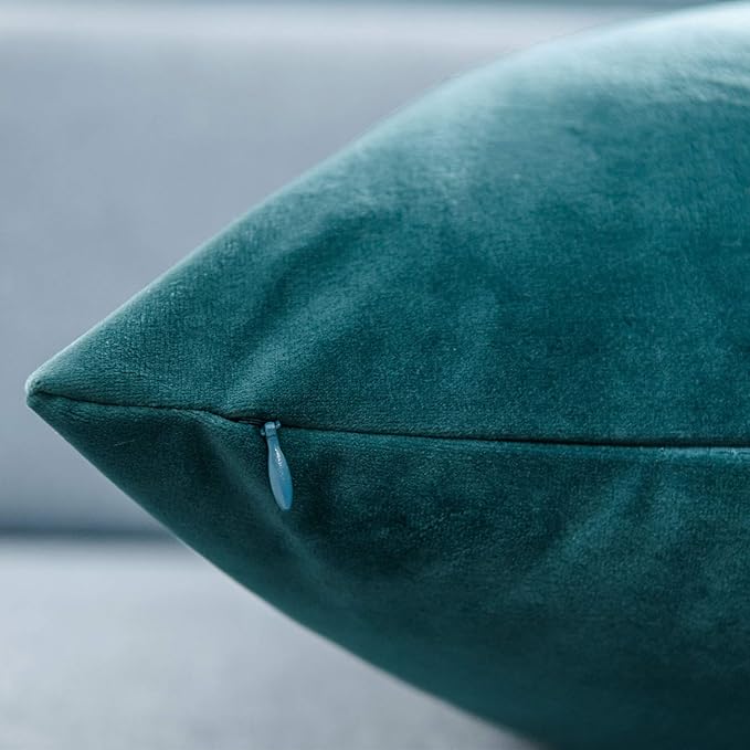 JUSPURBET Velvet Pillow Covers 16x24 Inch Set of 2 Decorative Lumbar Throw Pillow Covers for Couch Sofa Bed Soft Thick Velvet Cushion Cases with Hidden Zipper for Home Decor,Peacock Blue