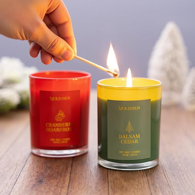 Cranberry Hoarfrost Candle, 10oz Soy Scented Candle for Home, Christmas Birthday & Holiday Gifts for Women & Men, Long Lasting 50+ Hour Clean Non-Toxic Burn, Elegant Winter & Christmas Home Decor