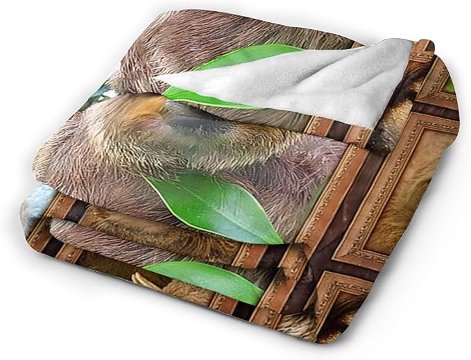 Tijuboni Sloth Throw Blanket Sloth Gifts for Girls Boys Women Men Kids Adults Soft Flannel Fleece Blanket for Couch Sofa Bed Home Decor 50"x60"