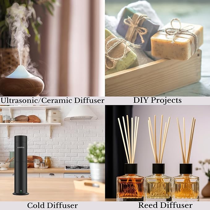 Fierce-Inspired Diffuser Oil - Scentia You Fragrance Oil Perfume Dupe - 50mL, 1.69 Fl oz Diﬀusers - A & F Inspired Essential Scented Oil - Best for Aromatherapy, SPA and Home, Thanksgiving Gift