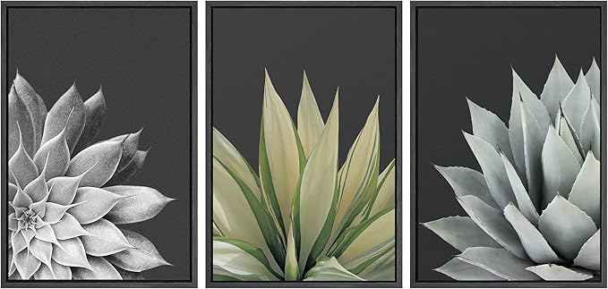 SIGNWIN Framed Canvas Print Wall Art Trio of Echevaria Succulents Floral Plants Photography Modern Art Minimalist Closeup Dramatic Black and White for Living Room, Bedroom, Office - 24"x36"x3 Black