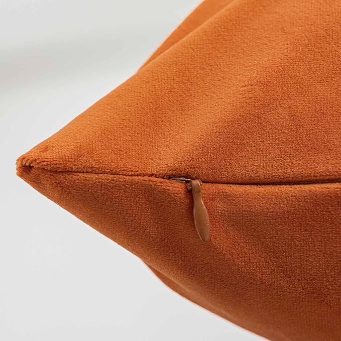 JUSPURBET Couch Pillow Covers Set of 2 Decorative Velvet Throw Pillow Covers Cases for Modern Farmhouse Home Decor Soft Cushion Covers Cases with Hidden Zipper for Sofa Bed 16x16 inch,Burnt Orange