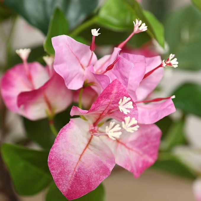 6FT Artificial Bougainvillea Tree- Faux Pink Silk Flowers in White Imitation Ceramic Planter - Fake Plants for Indoor Home Office and Living Room Decor - Perfect Housewarming Gift