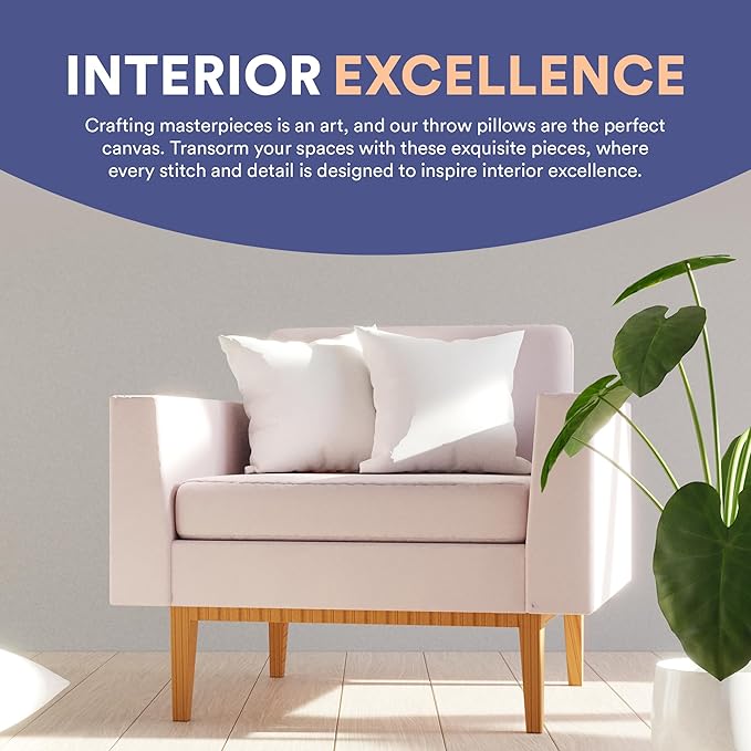 Continental Bedding | 10/90 Down and Feather Throw Pillow Insert | 100% Cotton 250TC Shell | Medium Loft Decorative Cushion | 24x24 | 2 Pack