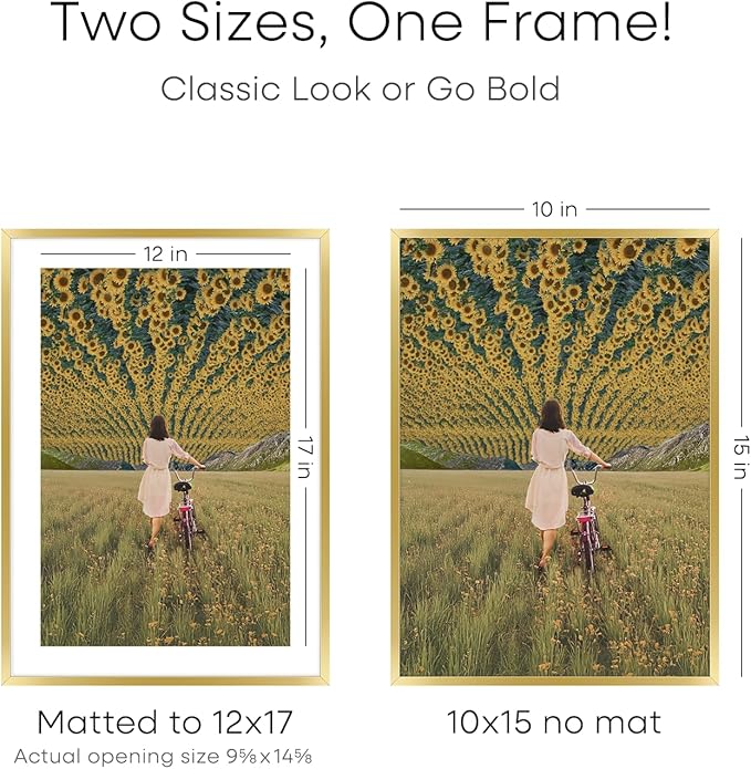 Homeforia 12x17 Picture Frame Gold, High End Metal 12x17 Poster Frames with Mat 10x15 Photo, 12 x 17 Gold Frame Matted to 10 by 15 Print, 17by12 Thin Hanging Frames, Tempered Glass, Wall Kit, Set of 3
