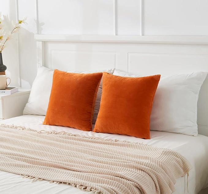 Throw Pillow Covers Burnt Orange Set of 2 20x20 Inch Fall Pillow Covers, Soft Velvet Farmhouse Neutral Decorative Pillowcases for Couch Sofa Bed, Home Boho Decor, Modern Cushion Covers