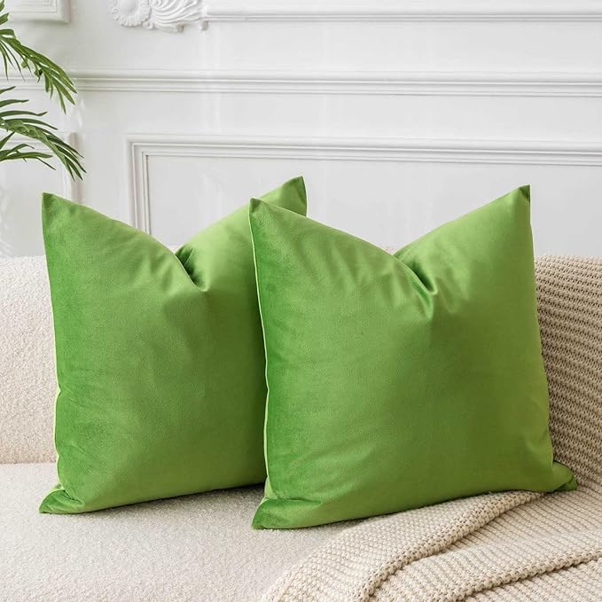 JUSPURBET Decorative Pillow Covers Set of 2 Velvet Throw Pillow Covers for Couch Sofa Bed Soft Cushion Covers Cases with Hidden Zipper for Living Room Home Decor 18x18 inch,Apple Green