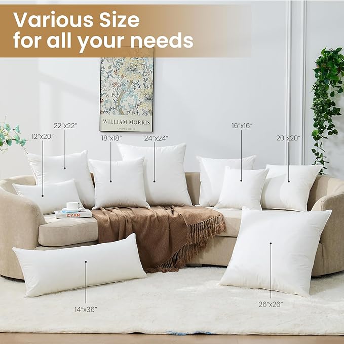 BHZ Euro Throw Pillow Inserts, 22x22 Down Feather Alternative Pillow Inserts Set of 2, Decorative Soft Large Square White Throw Pillows Insert for Couch Bed Dorm Sofa with Cotton Cover