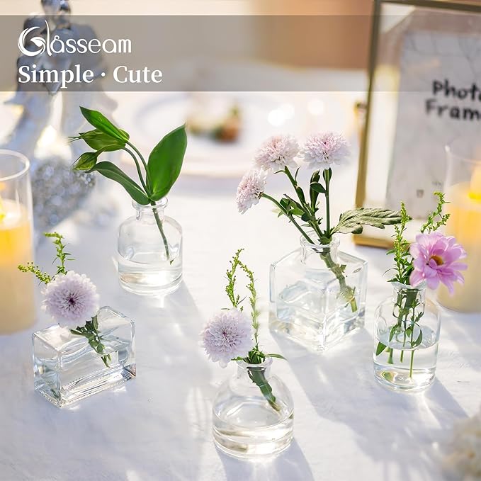 Glasseam Mini Glass Bud Vases: Small Clear Vases for Centerpieces Cute Tiny Flower Vase Set of 10 for Flowers Modern Centerpiece Decor for Wedding Party Dining Room Decoration