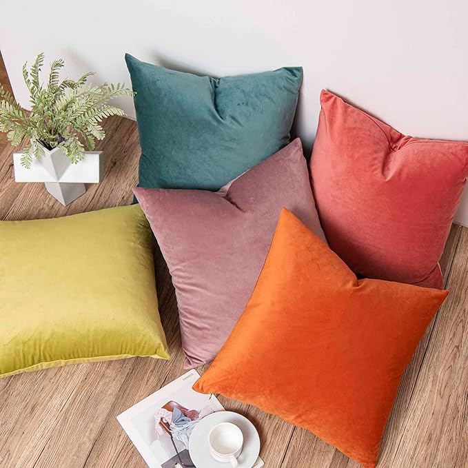 JUSPURBET Velvet Pillow Covers 20x20 inch Set of 2 Decorative Throw Pillow Covers for Couch Sofa Bed Soft Cushion Covers Cases with Hidden Zipper for Living Room Home Decor,Burnt Orange