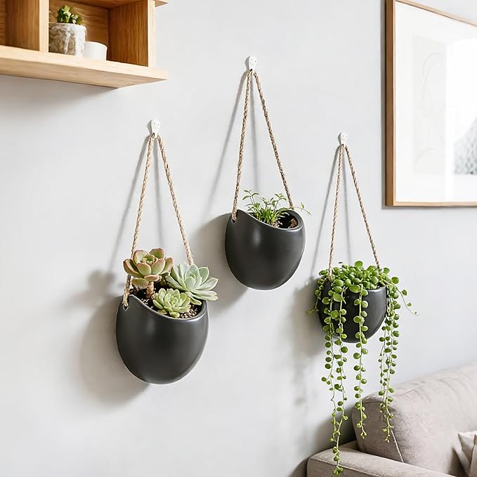 Set of 3 Ceramic Wall Planters with Hooks, Hanging Planter for Greenery and Dried Flowers, Home & Office Wall Decor