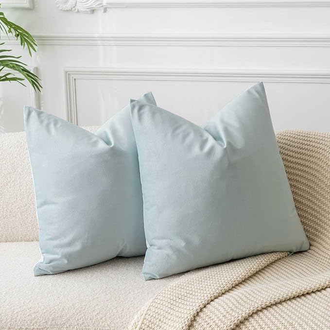 JUSPURBET Decorative Pillow Covers Set of 2 Velvet Throw Pillow Covers for Couch Sofa Bed Soft Cushion Covers Cases with Hidden Zipper for Living Room Home Decor,Powder Blue,14x14 inch