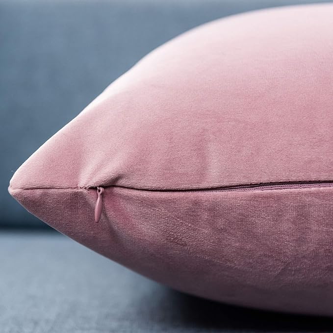 JUSPURBET Pink Purple Throw Pillow Covers Set of 2 Decorative Velvet Pillow Covers for Couch Sofa Bed Soft Lumbar Cushion Covers with Invisible Zipper for Living Room Home Decor,12x20 inch