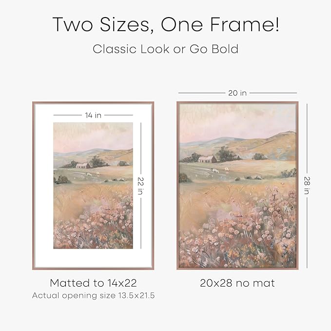 Homeforia 20 x 28 Picture Frame Mocha, High End Metal 20x28 Poster Frames with Mat 14x22 for Photo, 20 x 28 Mocha Frame Matted to 14 x 22 Print, 28x20 Hanging Frame, Tempered Glass, Wall Kit, Set of 1