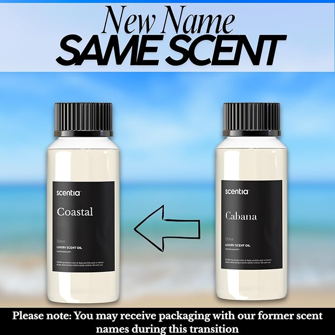 Scentia Hotel Diffuser Oil Inspired by 5-Star Hotel Scent - 120 mL 4.06 fl oz - Essential Oil Blend Botanical Jasmine, Bergamot & Fresh Notes for Aromatherapy Diffusers - Cabana, Christmas Gift
