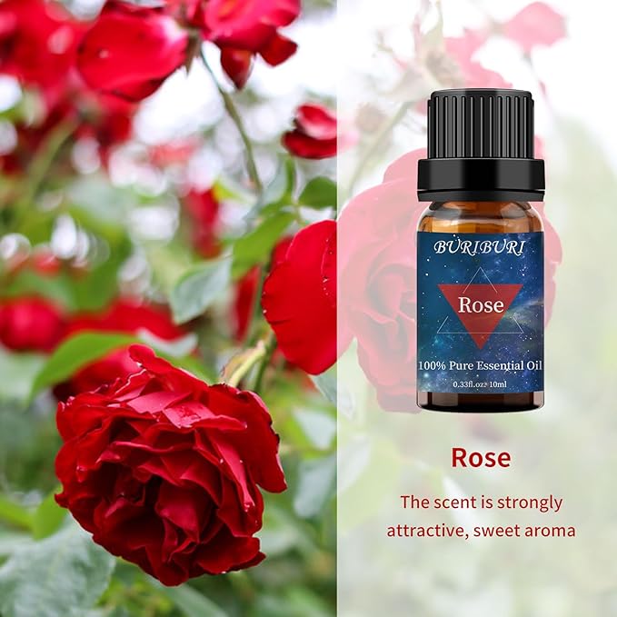 BURIBURI Rose Essential Oil and Lavender Oil for Diffuser, Massage, Candle Making, 100% Pure Fragrance Oil