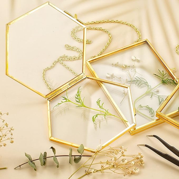 FOCHIER F 3 Pcs Pressed Flower Frames with Tweezers, Wall Hanging Double Glass Frames with Metal Chain for Pressed Dried Flowers Plants, Golden