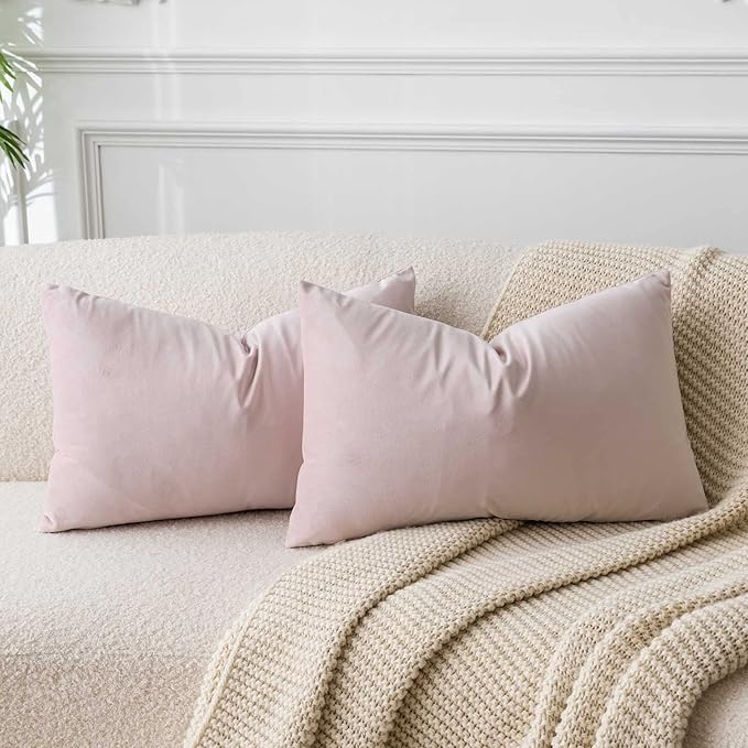 JUSPURBET Pink Velvet Pillow Covers Set of 2 Decorative Throw Pillow Covers for Couch Sofa Bed Soft Lumbar Cushion Covers with Hidden Zipper for Living Room Home Decor,12x20 inch