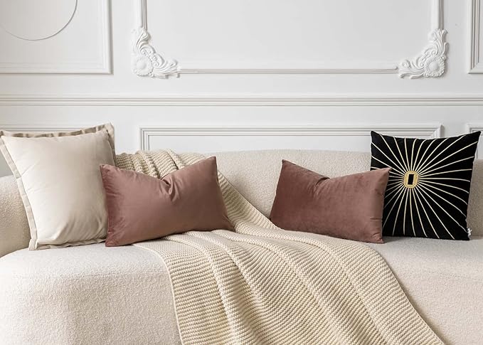 JUSPURBET Throw Pillow Covers Set of 2 Decorative Velvet Pillow Covers for Couch Sofa Bed Soft Lumbar Cushion Covers with Invisible Zipper for Living Room Home Decor,Jam,14x24 inch