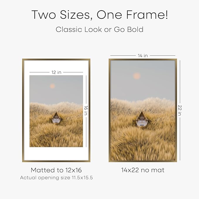 Homeforia 14x22 Picture Frame Bronze, High End Metal 14x22 Brass Poster Frames with Mat 12x16 for Photo, 14 x 22 Frame Matted to 12 by 16 Print, 22x14 Hanging Frame, Tempered Glass, Wall Kit, Set of 3