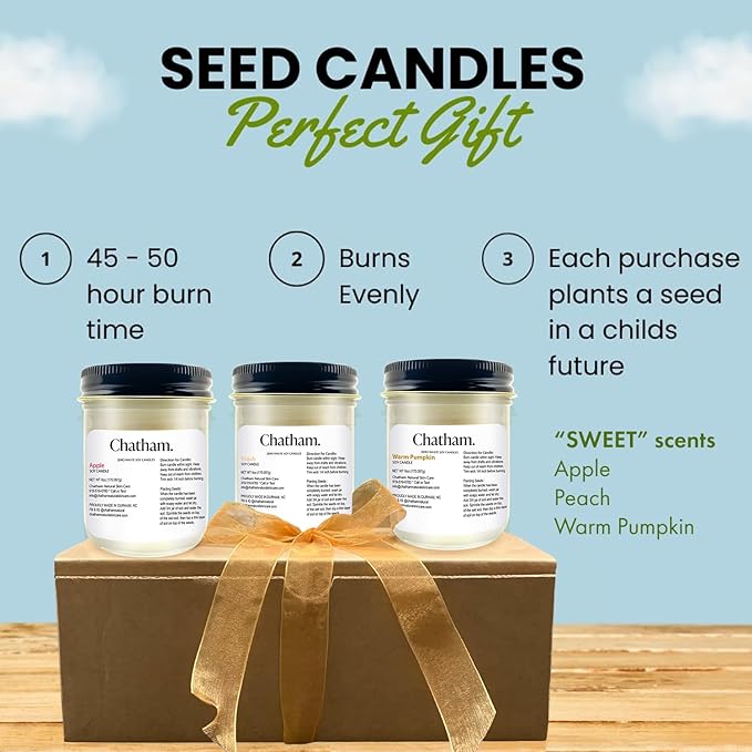 3 Pack 6oz Seed Candles in Glass with Lid, No Waste Candles, Soy Wax, Natural Cotton Wicks, Gift Set (Sweet)