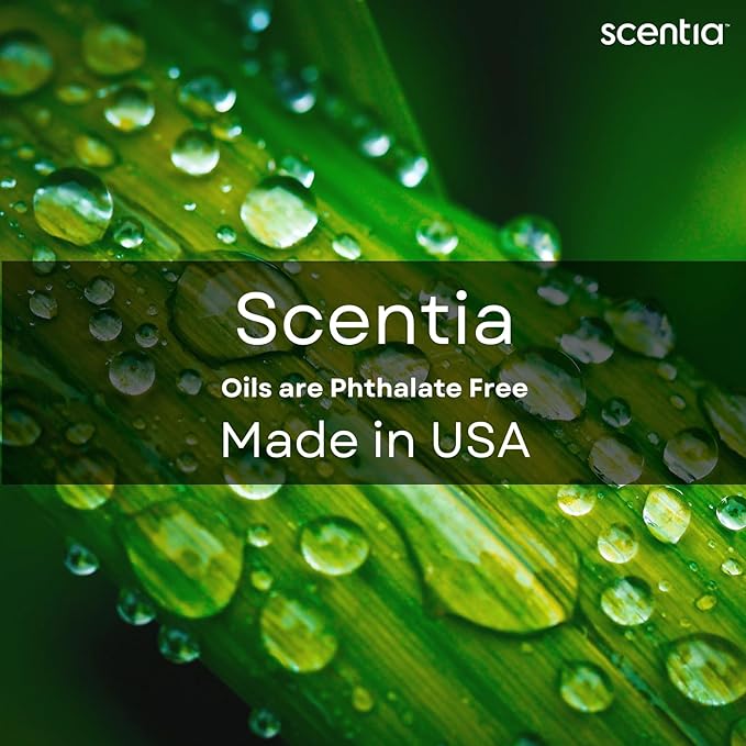 Scentia W Magic Hotel Diffuser Refill Oil Inspired by W Signature Hotel - 500 mL 16.9 fl oz - Fragrance Oil Blend Bergamot, Lemongrass & Jasmine for HVAC Diffuser - Thanksgiving & Holiday Gift