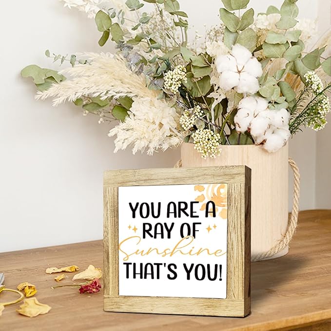 You Are A Ray Of Sunshine Coaster - Friendship Gift, Funny Thank You Gift, Positivity, Funny Home Decor, Box Wood Plaques Desk Décor, Rustic Farmhouse Decor for the Home Sign, Housewarming Gifts