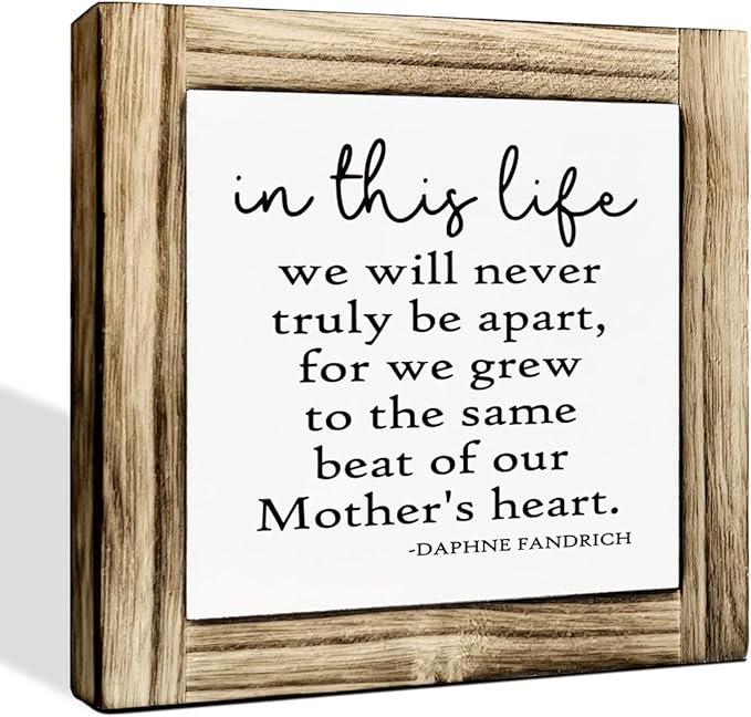 Home Decor Signs, Decorative Wooden Box Sign, Farmhouse Twins Signs, Grieving Sibling Decor, Birthday Gift for Sister or Brother, In This Life We Never Truly Be Apart Sign, 5.9×5.9 inches
