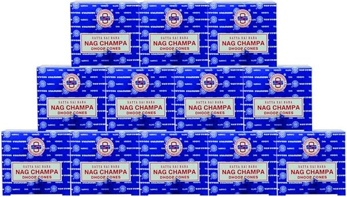 Nag Champa Incense Cones and Cone Incense Burner Bundle Insence Insense Satya Incense
