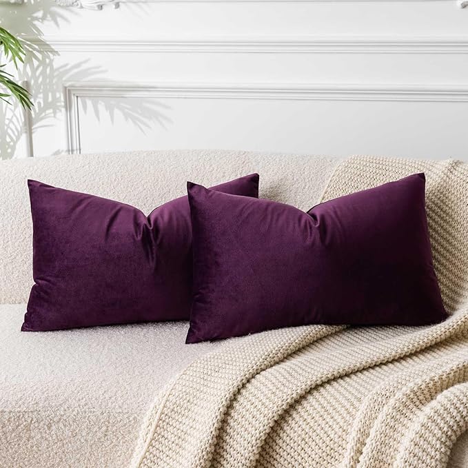 JUSPURBET Couch Pillow Covers Set of 2 Decorative Velvet Throw Pillow Covers for Living Room Bedroom Home Decor Soft Lumbar Cushion Covers with Hidden Zipper for Sofa Bed,Eggplant Purple,14x24 inch