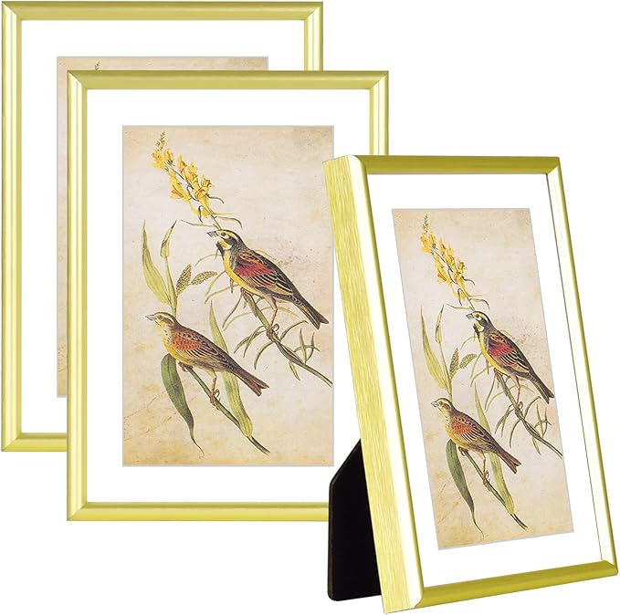 4x6-3P Picture Frame Matte Gold Brushed Thin Metal Float Photo Frame with HD Glass, Fit 3x5 with Mat or 4 x 6 without Mat, for Table and Wall, 3 Pack