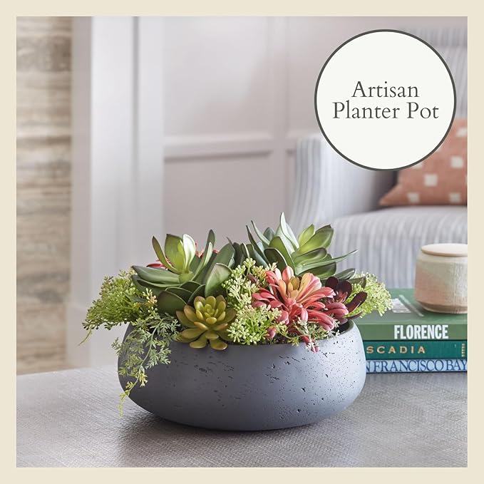 CG Hunter Faux Succulent Arrangement, Premium Artificial Indoor Plant Enhances Interior Design, Display on Any Surface in Your Home Adding an Inviting Touch of Nature, Grey Planter Pot Included