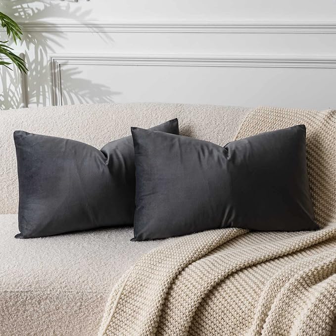 JUSPURBET Decorative Pillow Covers Set of 2 Velvet Throw Pillow Covers for Couch Sofa Bed Soft Lumbar Cushion Covers with Hidden Zipper for Living Room Home Decor,Dark Gray,14x24 inch
