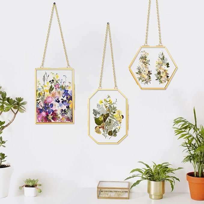 FOCHIER F 3 Pcs Pressed Flower Frames with Tweezers, Wall Hanging Double Glass Frames with Metal Chain for Pressed Dried Flowers Plants, Golden