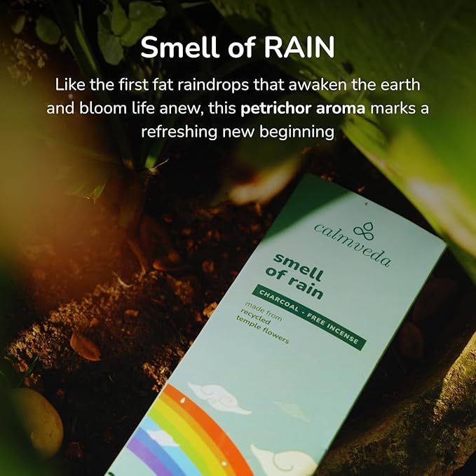 Fresh Rain Incense Sticks - (80 Scent Sticks) Charcoal Free, Made from Upcycled Flowers | Like Petrichor Aroma of Rain Soaked Earth | Relaxing Scents for Meditation Incense