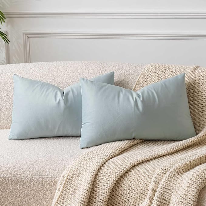 JUSPURBET Decorative Pillow Covers Set of 2 Velvet Throw Pillow Covers for Couch Sofa Bed Soft Lumbar Cushion Covers with Hidden Zipper for Living Room Home Decor,Powder Blue,12x20 inch