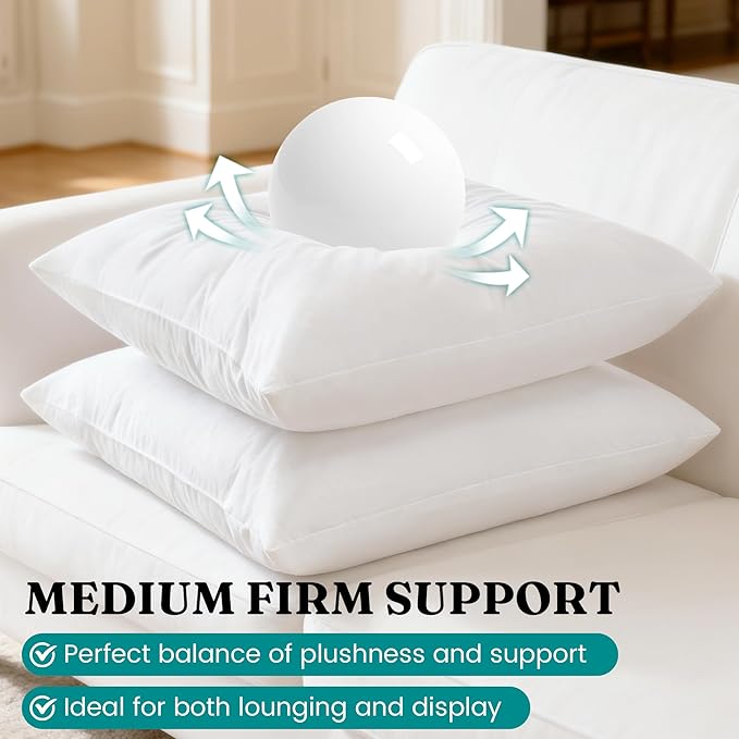 Oubonun 24x24 Feather Down Alternative Throw Pillow Inserts, 100% Cotton Cover, Medium Firm Decorative Pillow Inserts for Couch, Sofa, Bed, Chair (Set of 2)