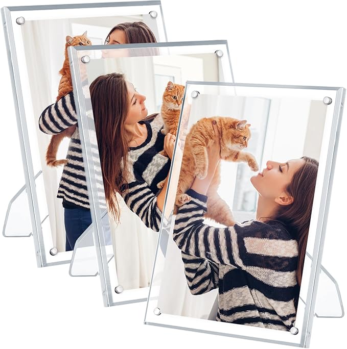 Egofine 6x8 Acrylic Frames 3 Pack, Clear Picture Frames with Stand, Magnetic Acrylic Photo Frames for Tabletop Display Horizontally or Vertically