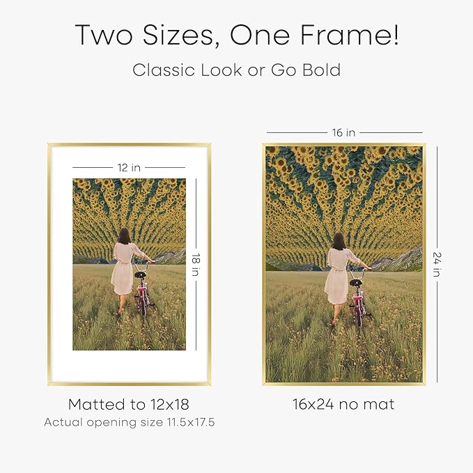 Homeforia 16 x 24 Picture Frame Gold, High End Metal 16x24 Poster Frames with Mat 12x18 Photo, 16 x 24 Gold Frame Matted to 12 by 18 Print, 24x16 Thin Hanging Frame, Tempered Glass, Wall Kit, Set of 2
