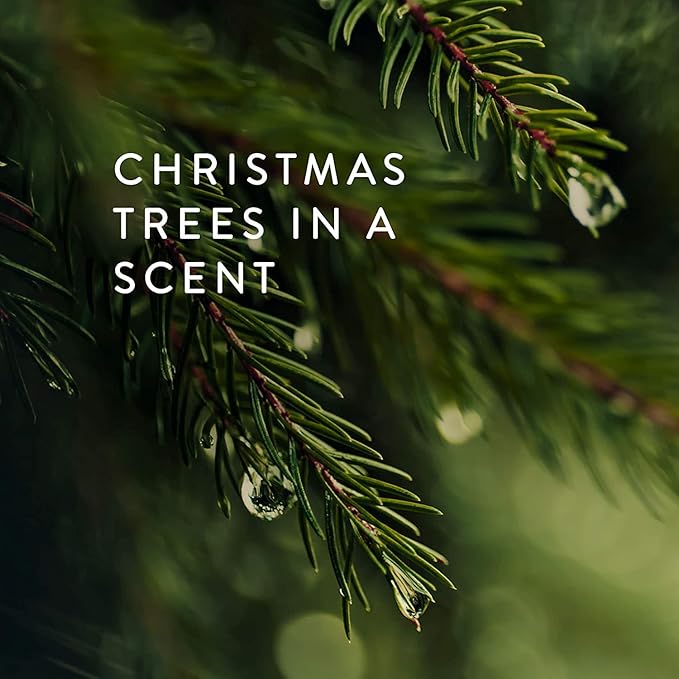 Thymes Frasier Fir Statement Candle and Diffuser Gift Set - Holiday Home Decor - Notes of Siberian Fir, Cedarwood, and Sandalwood - Silver (4 fl oz Petite Diffuser + 5 oz Candle)