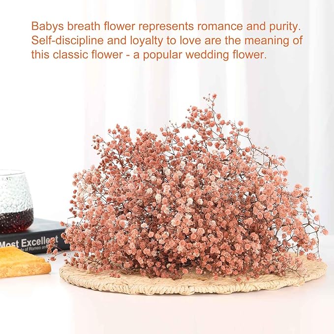 Babys Breath Dried Flowers Bouquet-17'' 3200+ Ivory Dry Flowers, Natural Gypsophila Branches for Wedding, Home Table Vase Decor, DIY Wreath Floral, Fall Thanksgiving Autumn Decoration (Brown, 3.5oz)