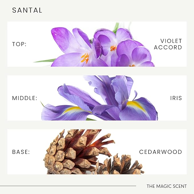 The Magic Scent Santal Diffuser Oil - Fragrance Oil Scent - Cold-Air & Ultrasonic Santal Essential Oil - Aroma Diffuser Oils Scents for Home - Sandalwood, Musk & Cardamom - 16.9 fl oz, 500 mL