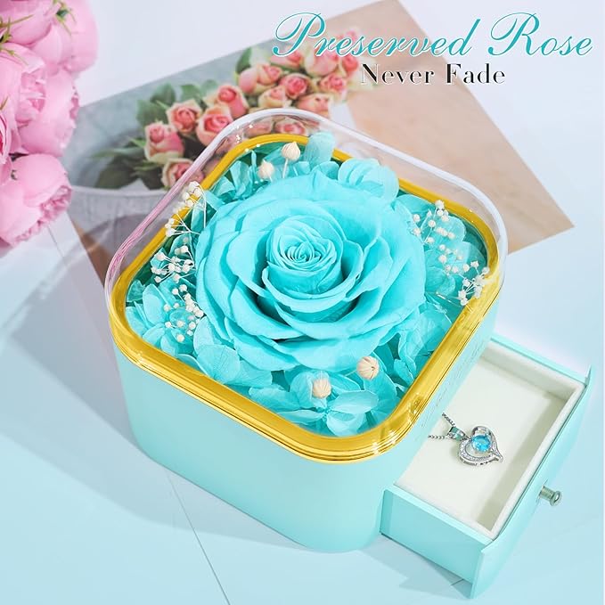 Beferr Preserved Rose with Necklace for Mom Birthday Gifts Eternal Roses Fresh Flowers for Delivery Prime Christmas Day Gifts for Her Mother Grandma Wife Sister Daughter Girl Friends