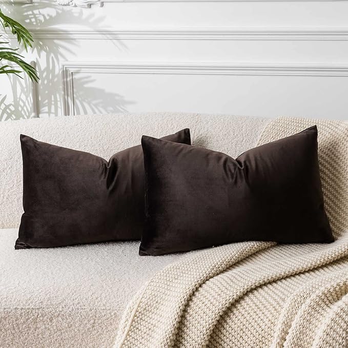JUSPURBET Velvet Pillow Covers Set of 2 Decorative Throw Pillow Covers for Couch Sofa Bed Soft Lumbar Cushion Covers Cases with Hidden Zipper for Living Room Home Decor,Coffee,12x20 inch