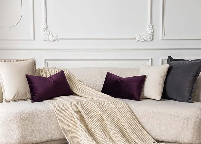 JUSPURBET Couch Pillow Covers Set of 2 Decorative Velvet Throw Pillow Covers for Living Room Bedroom Home Decor Soft Lumbar Cushion Covers with Hidden Zipper for Sofa Bed,Eggplant Purple,12x20 inch