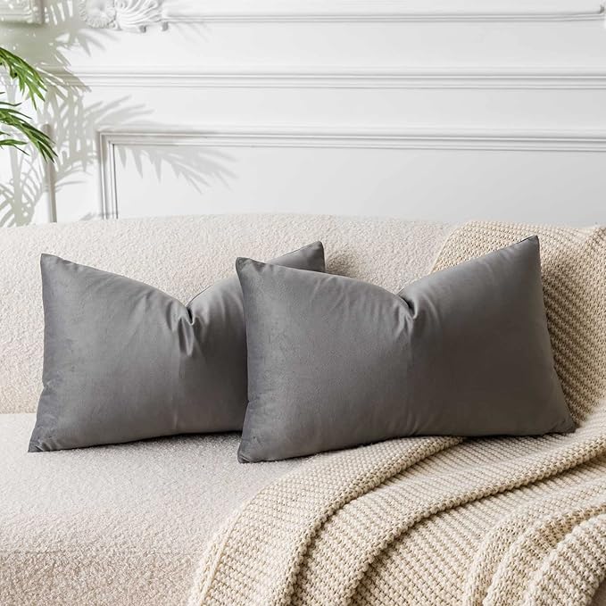 JUSPURBET Velvet Pillow Covers Set of 2 Decorative Throw Pillow Covers for Couch Sofa Bed Soft Lumbar Cushion Covers with Hidden Zipper for Living Room Home Decor,Gray,14x24 inch
