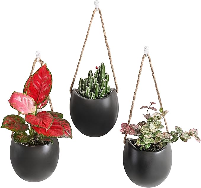 Set of 3 Ceramic Wall Planters with Hooks, Hanging Planter for Greenery and Dried Flowers, Home & Office Wall Decor